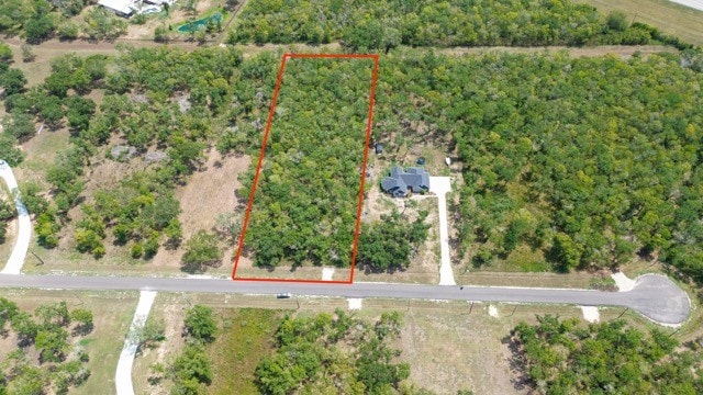 33627 Blue Marlin Dr, Richwood TX, 77515 land for sale