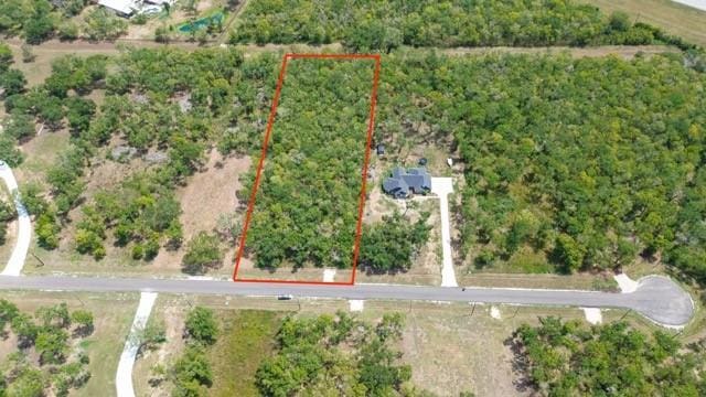 33627 Blue Marlin Dr, Richwood, TX 77515