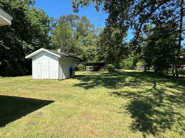 view of yard with a storage shed