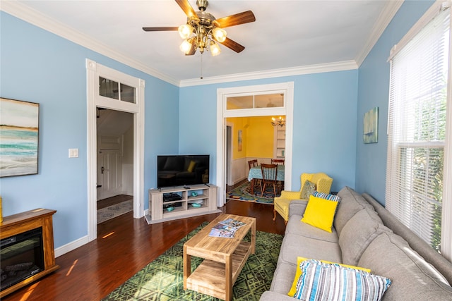 living room with ceiling fan, dark hardwood / wood-style floors, and crown molding