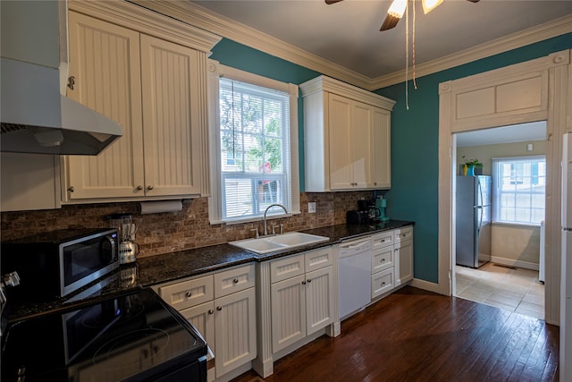 kitchen with a wealth of natural light, ceiling fan, sink, and dark hardwood / wood-style flooring