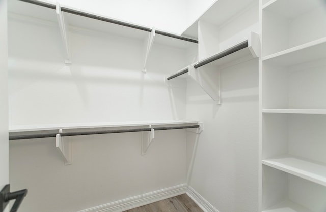 spacious closet with hardwood / wood-style flooring