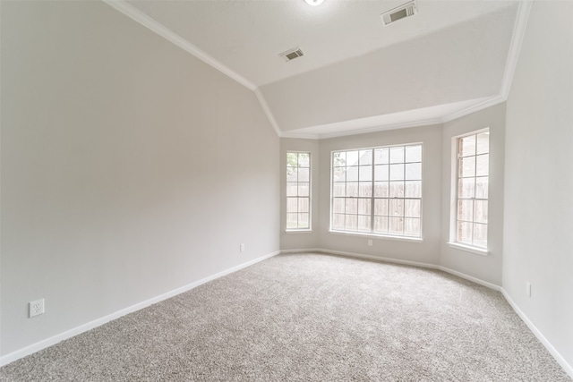 carpeted spare room featuring ornamental molding, vaulted ceiling, and a healthy amount of sunlight