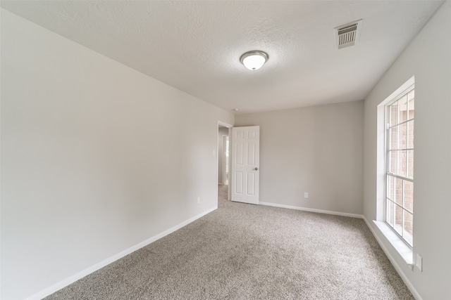 carpeted empty room featuring a textured ceiling and a healthy amount of sunlight