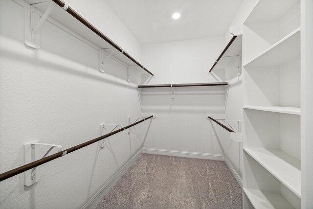 walk in closet with light colored carpet