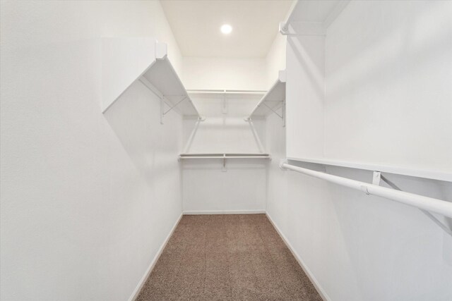 walk in closet with carpet