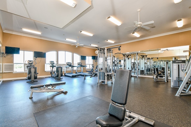 workout area with ceiling fan and ornamental molding