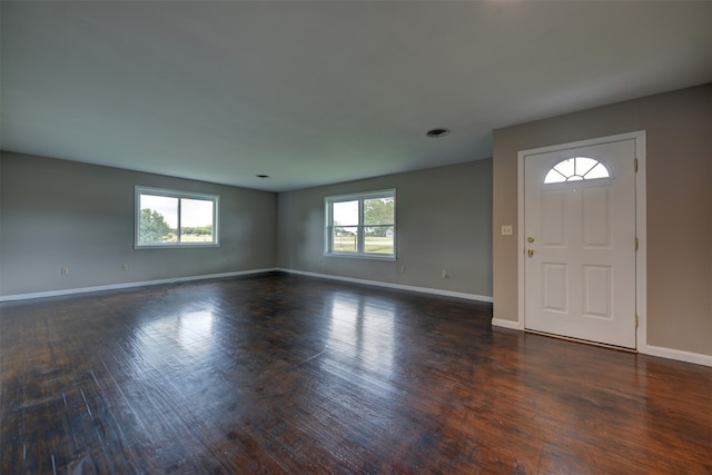 entryway featuring a wealth of natural light and dark wood-type flooring