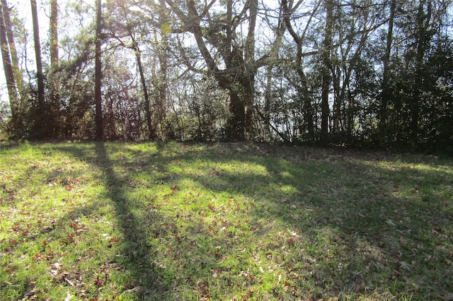 Listing photo 3 for TBD0 Chain Rd, Livingston TX 77351