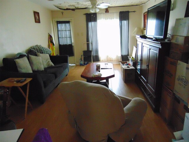 living room featuring ceiling fan and wood-type flooring