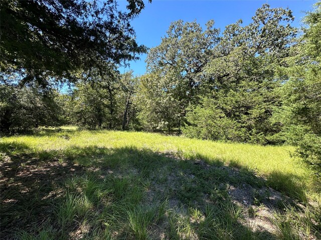 TBDTRACT1 County Road 481, Centerville, TX 75833 - photo 2