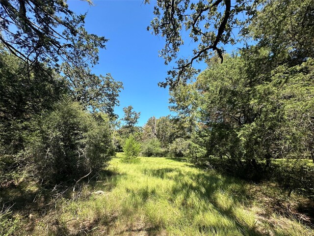 TBDTRACT1 County Road 481, Centerville, TX 75833 - photo 9