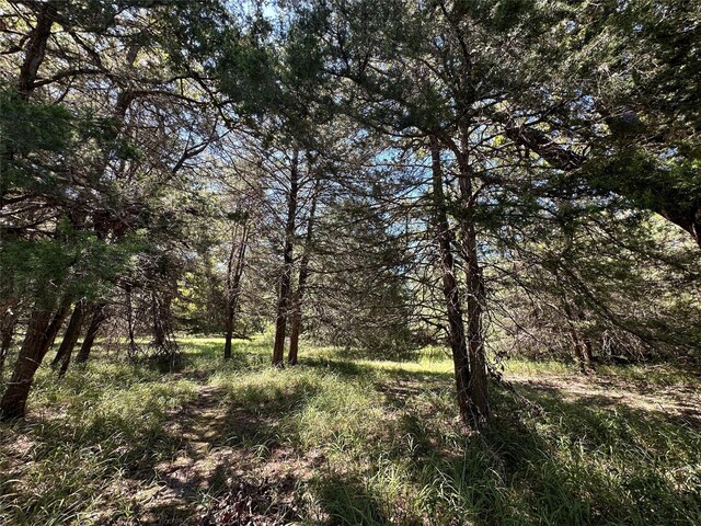 TBDTRACT1 County Road 481, Centerville, TX 75833 - photo 10