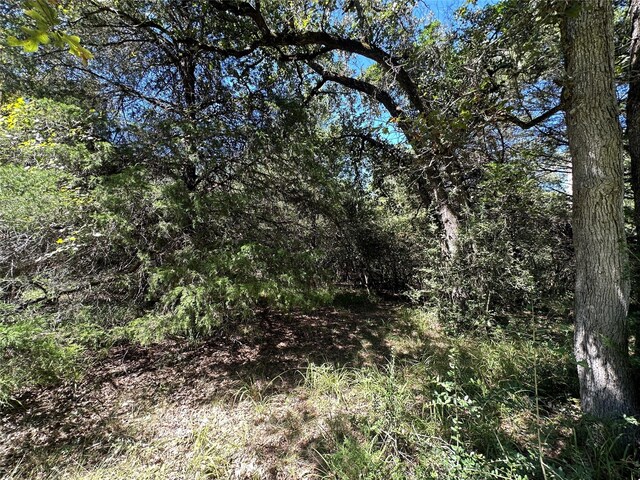 TBDTRACT1 County Road 481, Centerville, TX 75833 - photo 11
