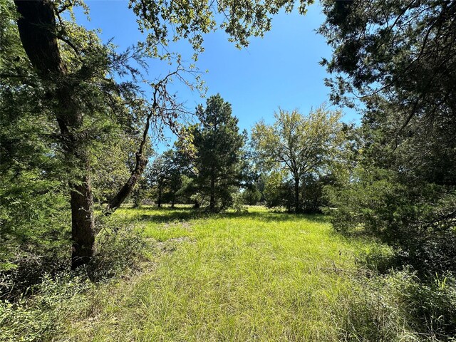 TBDTRACT1 County Road 481, Centerville, TX 75833 - photo 12