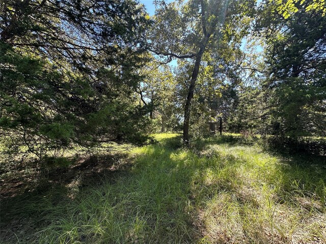 TBDTRACT1 County Road 481, Centerville, TX 75833 - photo 13