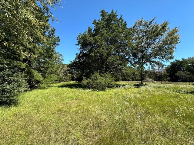 TBDTRACT1 County Road 481, Centerville, TX 75833 - photo 14