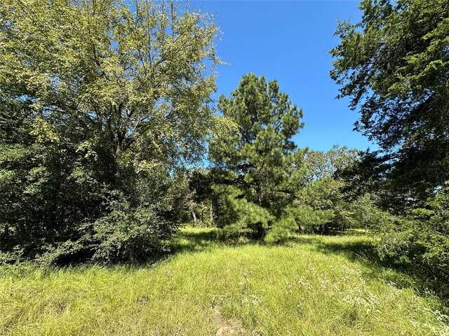 TBDTRACT1 County Road 481, Centerville, TX 75833 - photo 16