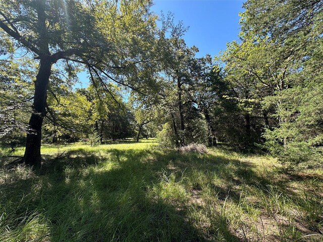 TBDTRACT1 County Road 481, Centerville, TX 75833 - photo 17