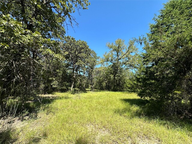 TBDTRACT1 County Road 481, Centerville, TX 75833 - photo 18