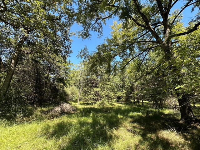 TBDTRACT1 County Road 481, Centerville, TX 75833 - photo 19