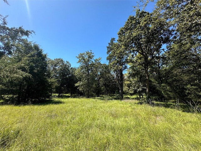 TBDTRACT1 County Road 481, Centerville, TX 75833 - photo 6