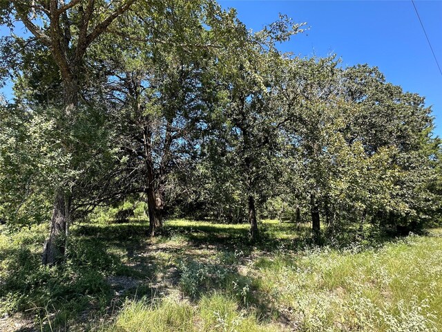 TBDTRACT1 County Road 481, Centerville, TX 75833 - photo 7