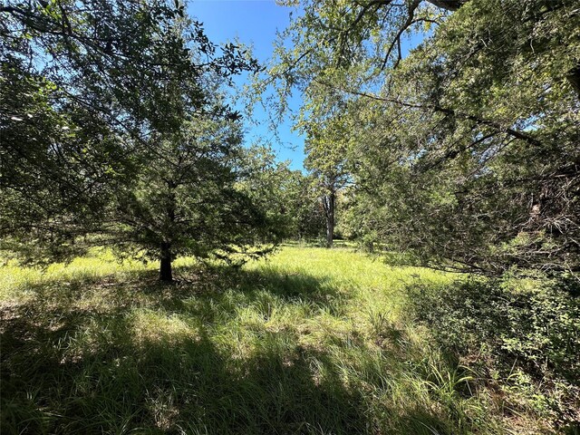 TBDTRACT1 County Road 481, Centerville, TX 75833 - photo 8