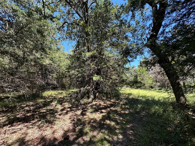 TBDTRACT1 County Road 481, Centerville, TX 75833 - photo 21