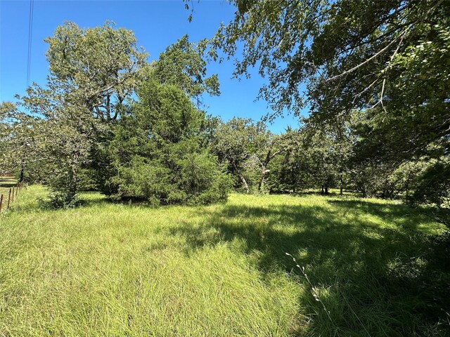 TBDTRACT1 County Road 481, Centerville, TX 75833 - photo 3