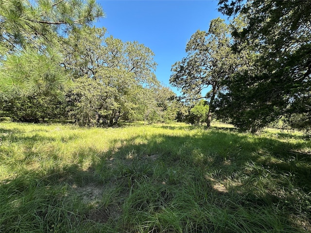 TBDTRACT1 County Road 481, Centerville, TX 75833 - photo 4