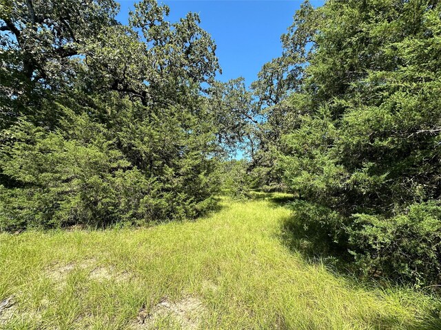 TBDTRACT1 County Road 481, Centerville, TX 75833 - photo 5