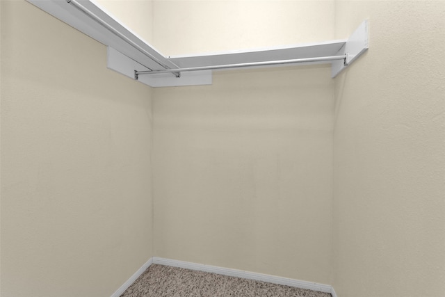 walk in closet with carpet floors