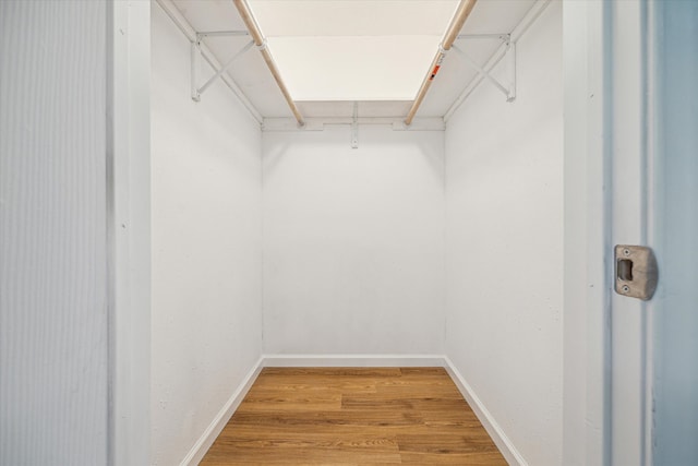 spacious closet featuring light hardwood / wood-style flooring