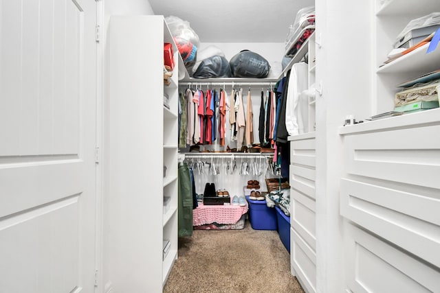 spacious closet featuring carpet flooring