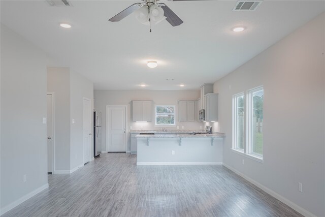 kitchen with plenty of natural light, light hardwood / wood-style flooring, stainless steel appliances, and ceiling fan