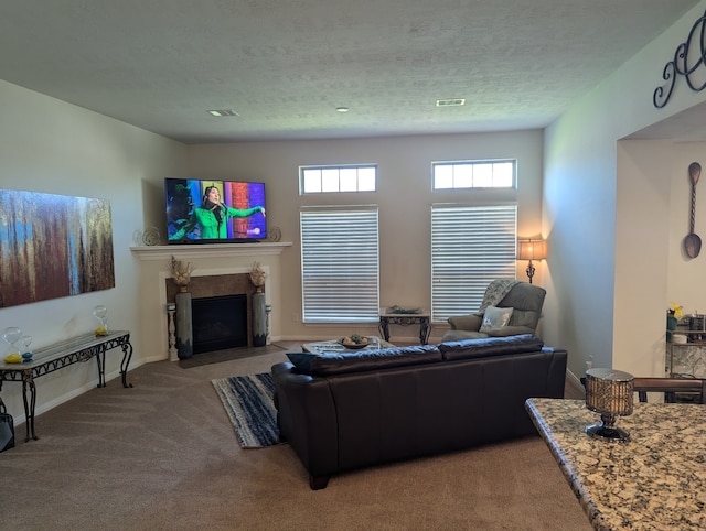 living room featuring carpet and a textured ceiling