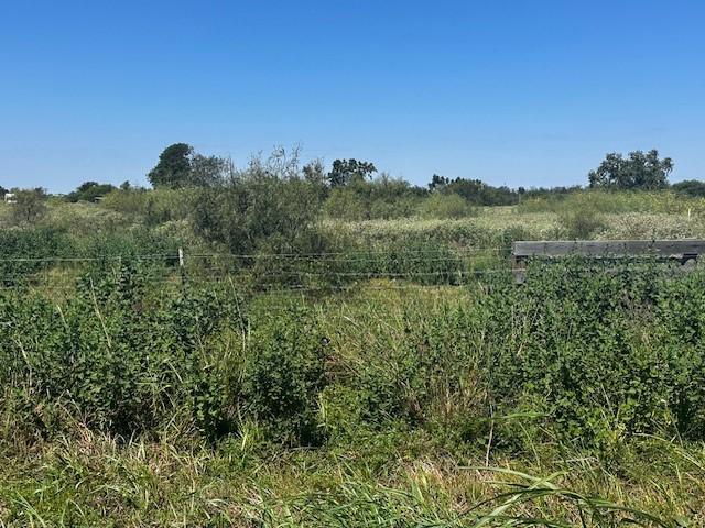 3399 Oil Field Rd, Bellville, TX 77418 - photo 5