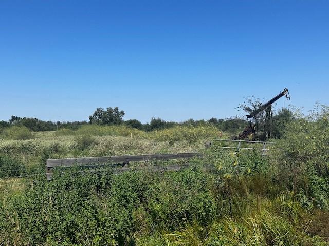 3399 Oil Field Rd, Bellville, TX 77418 - photo 6