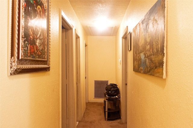 hall featuring carpet floors and a textured ceiling