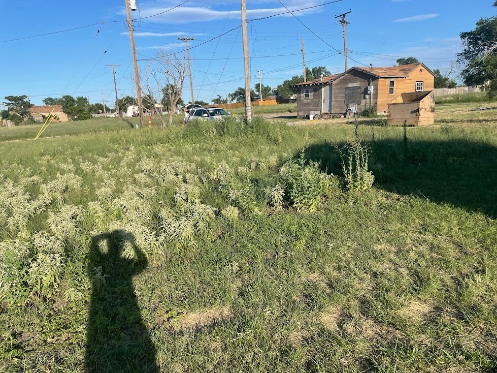 1212 E 11th St, Plainview, TX 79072 - photo 1