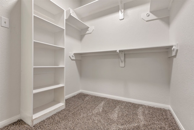 walk in closet with carpet