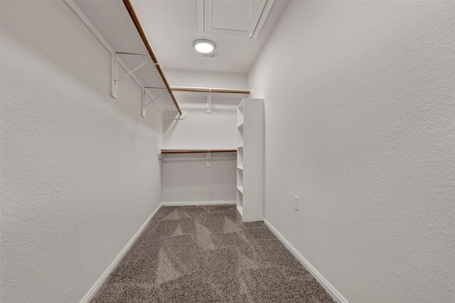 770 Hunt Rd Unit 212, Baytown, TX 77521 - spacious closet featuring attic access and carpet flooring