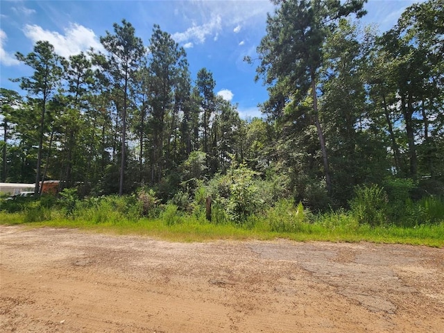 01 Hollybrook Dr, Plantersville TX, 77363 land for sale