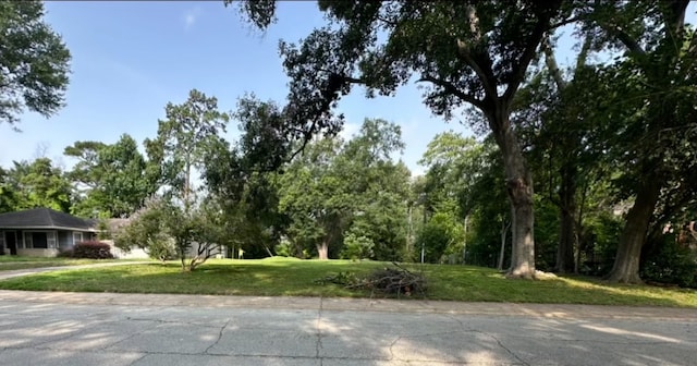 1231 Bay Oaks Rd, Houston TX, 77008 land for sale