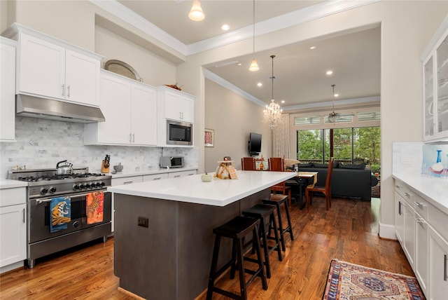 kitchen featuring under cabinet range hood, light countertops, a kitchen breakfast bar, and stainless steel appliances