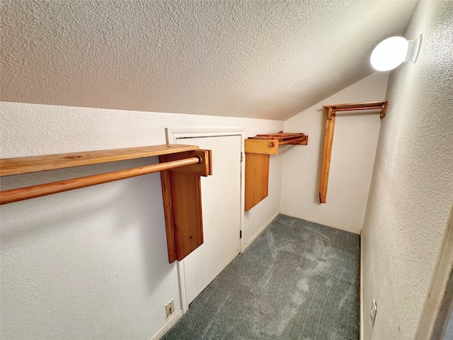 spacious closet featuring vaulted ceiling and carpet floors