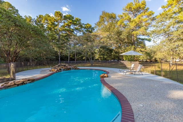 view of swimming pool featuring a patio