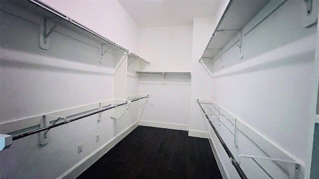 walk in closet with dark hardwood / wood-style floors