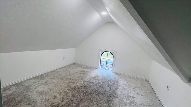 additional living space featuring lofted ceiling, light colored carpet, and a textured ceiling